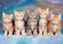 Cute Group of Cats Diamond Painting